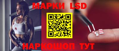 гидропоника Будённовск