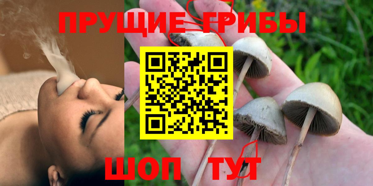 Псилоцибиновые грибы мухоморы  Галлюциногенные грибы Magic Shrooms  Норильск  Вход с VPN 